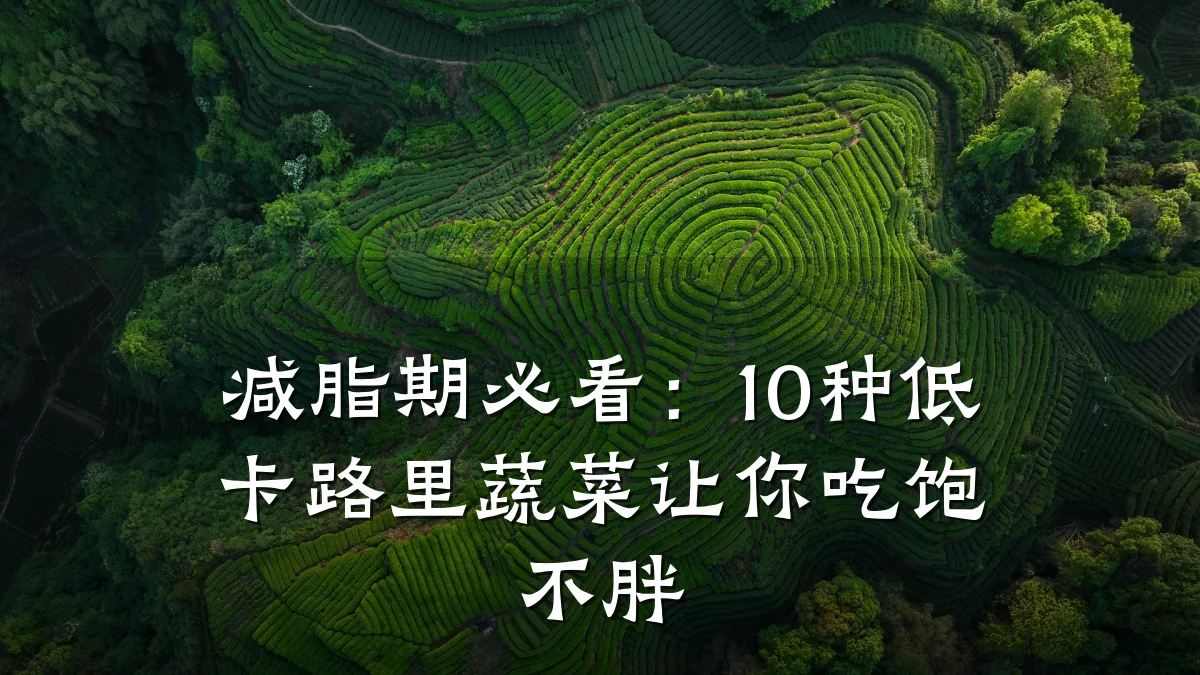 减脂期必看：10种低卡路里蔬菜让你吃饱不胖