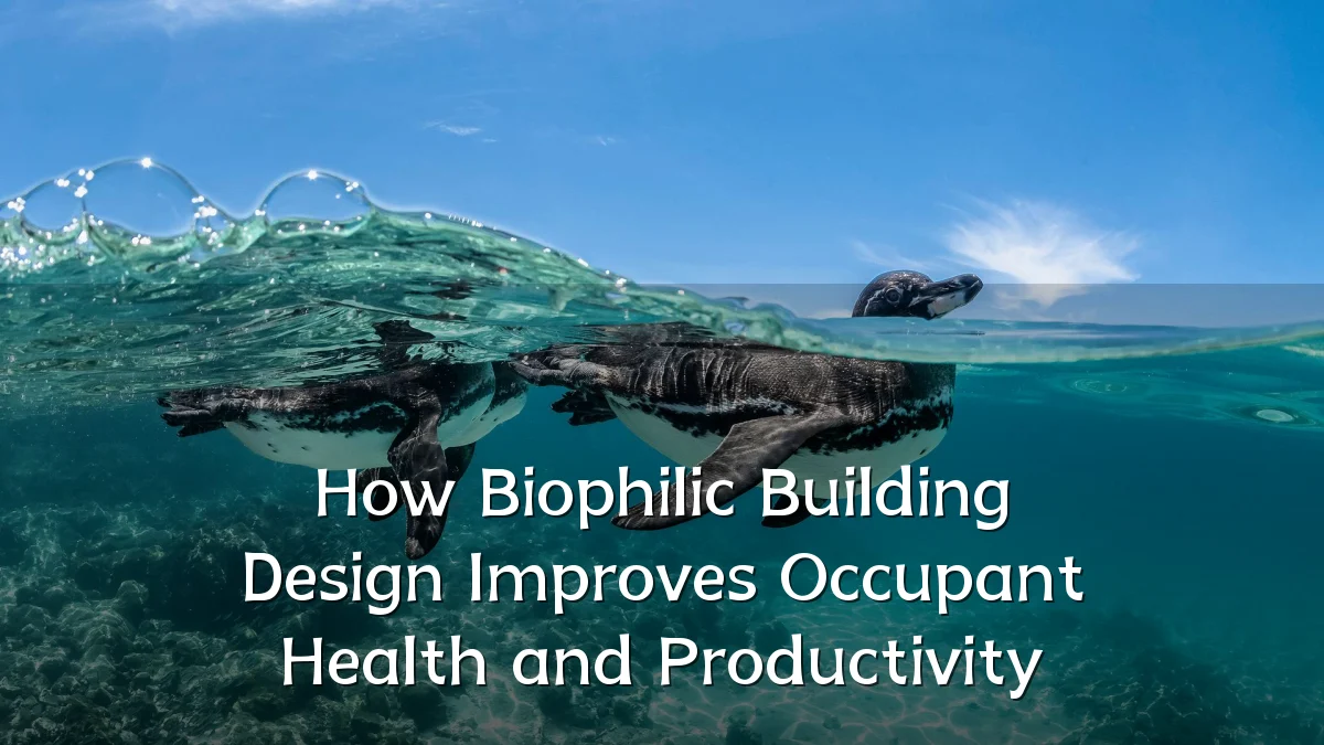 How Biophilic Building Design Improves Occupant Health and Productivity