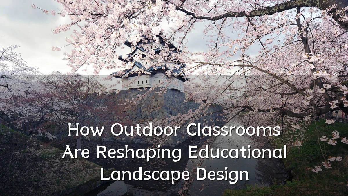How Outdoor Classrooms Are Reshaping Educational Landscape Design