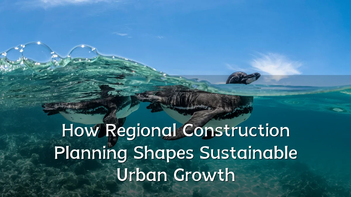 How Regional Construction Planning Shapes Sustainable Urban Growth