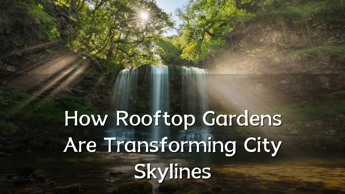 How Rooftop Gardens Are Transforming City Skylines