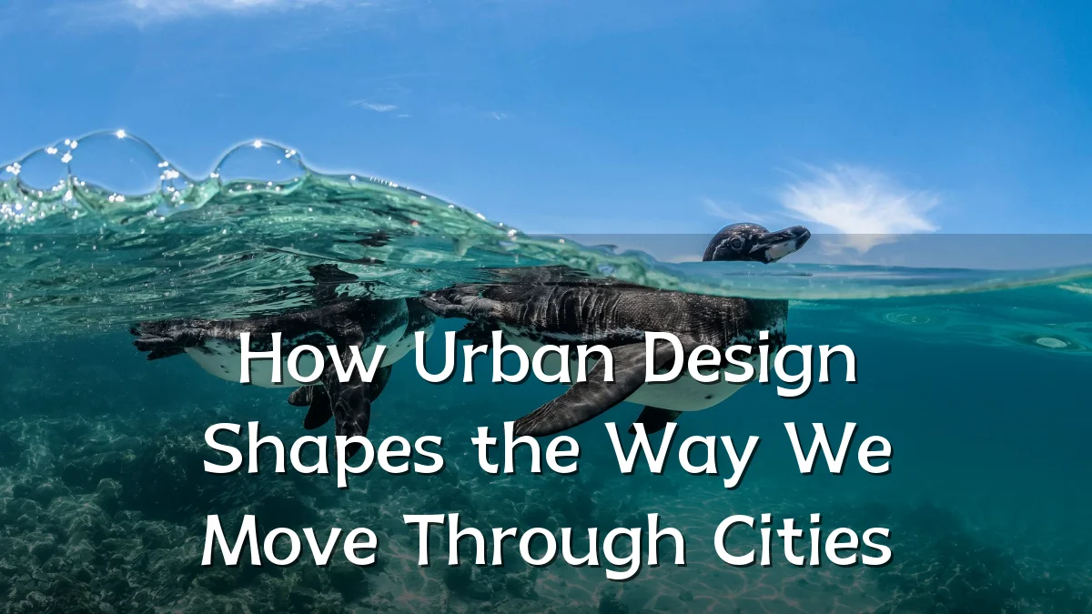 How Urban Design Shapes the Way We Move Through Cities