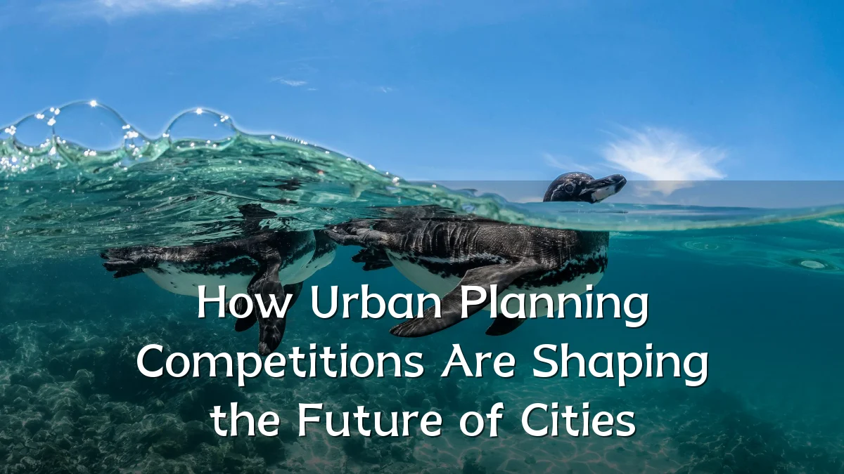 How Urban Planning Competitions Are Shaping the Future of Cities