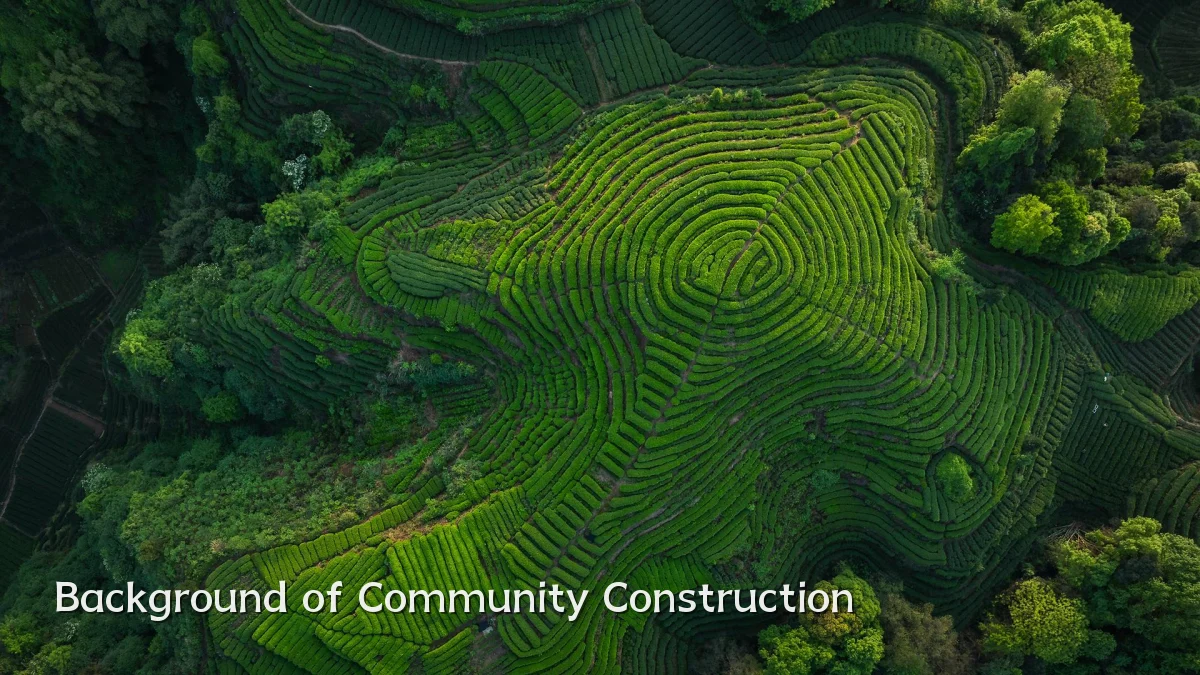 Background of Community Construction