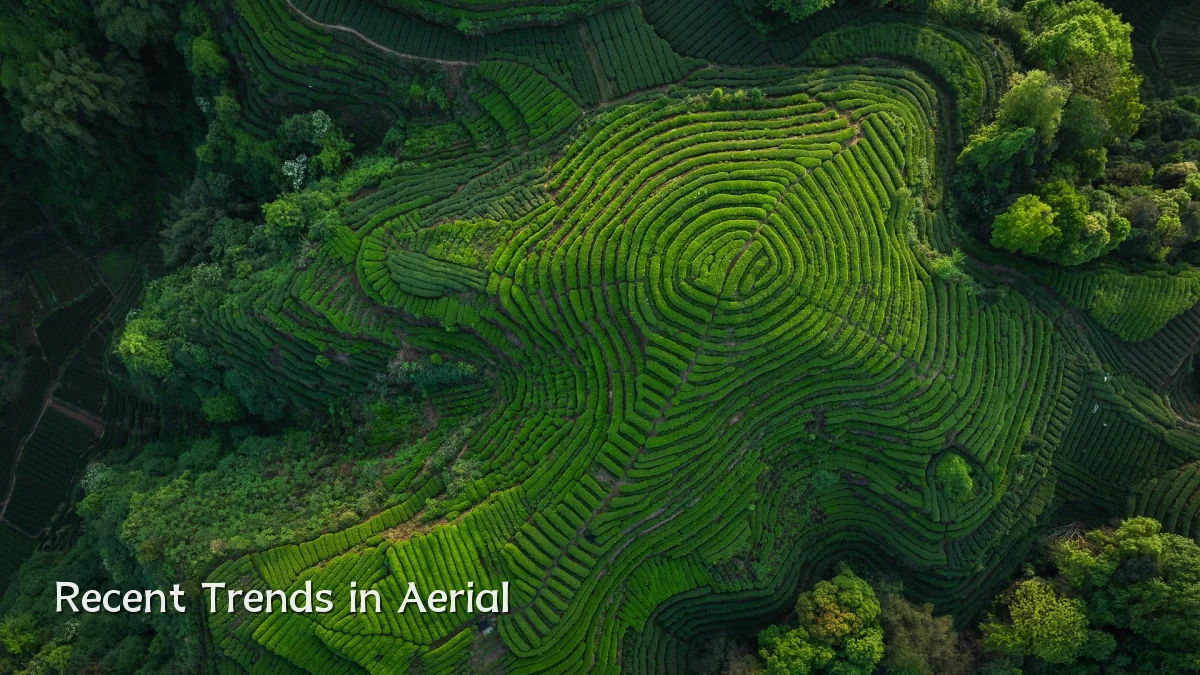 Recent Trends in Aerial