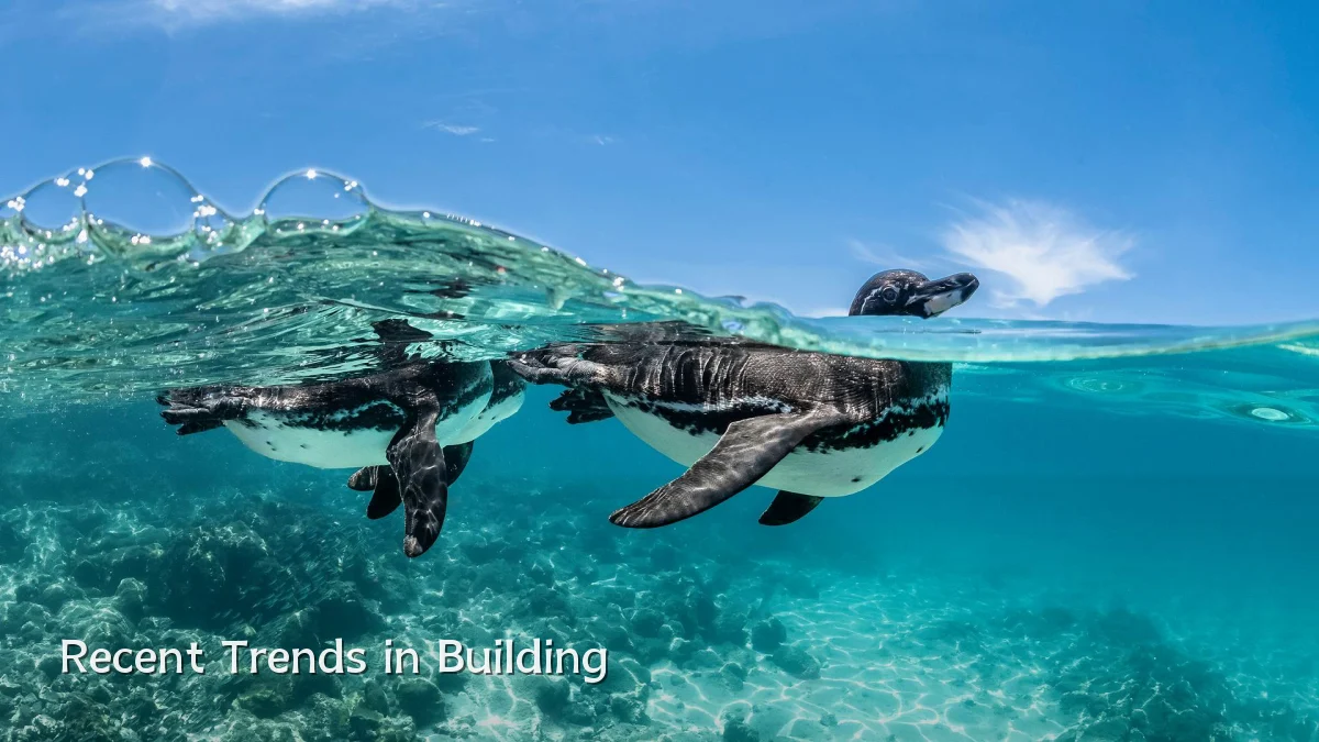 Recent Trends in Building