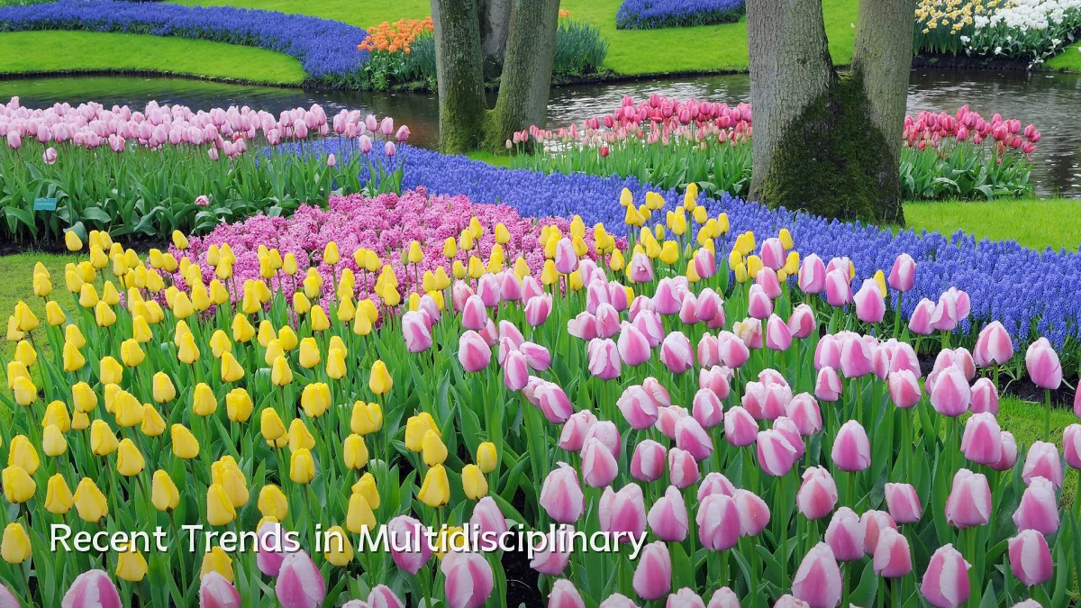 Recent Trends in Multidisciplinary