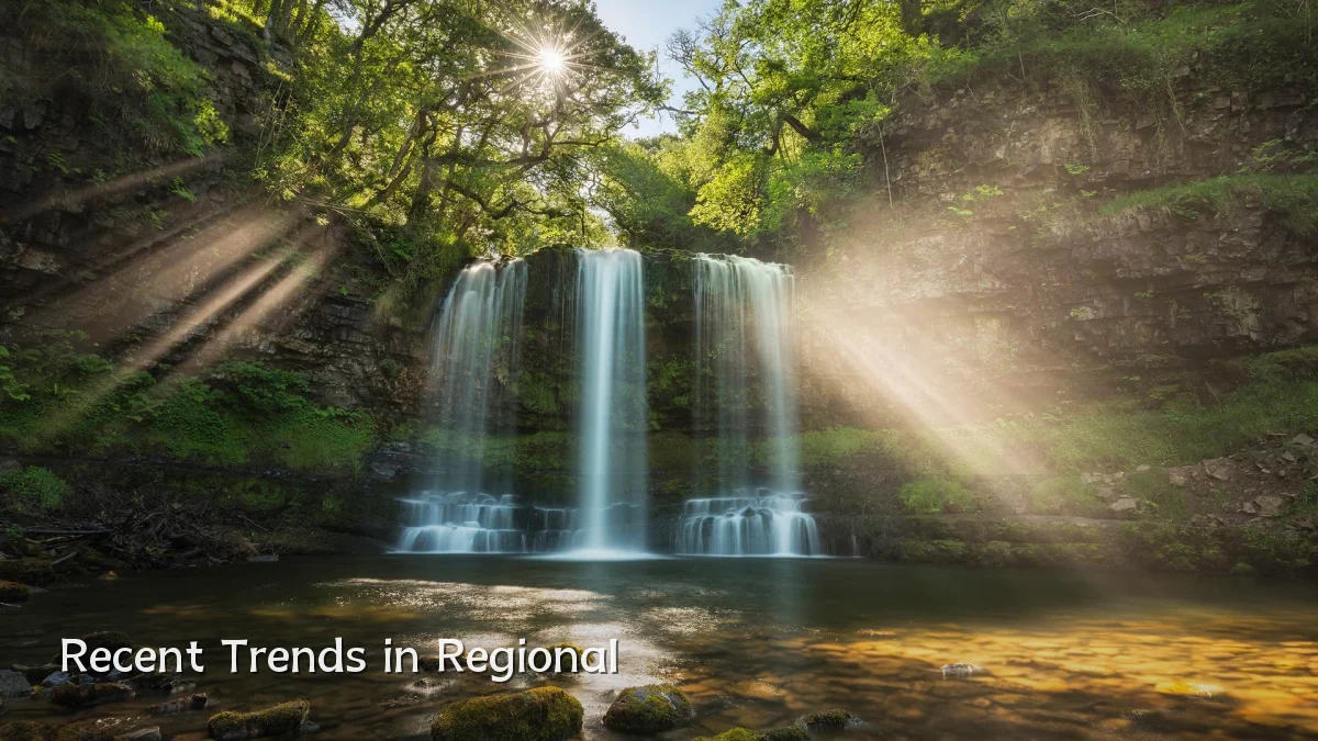 Recent Trends in Regional