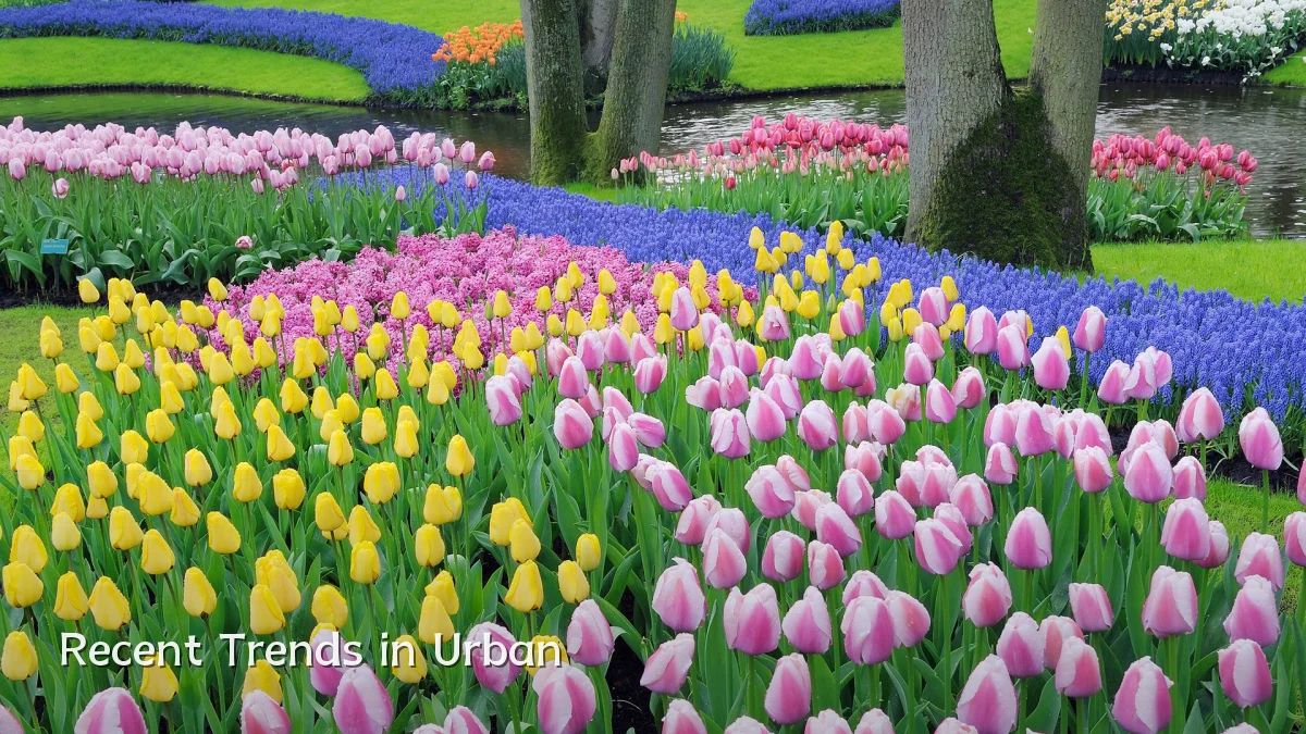Recent Trends in Urban