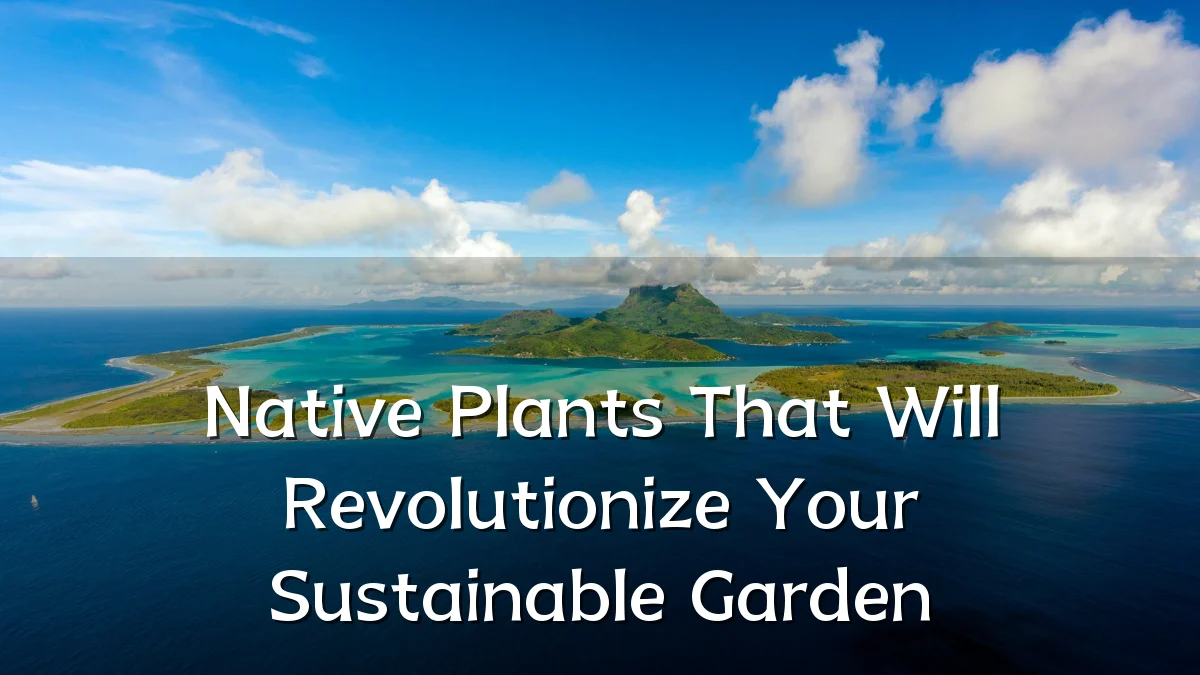 Native Plants That Will Revolutionize Your Sustainable Garden