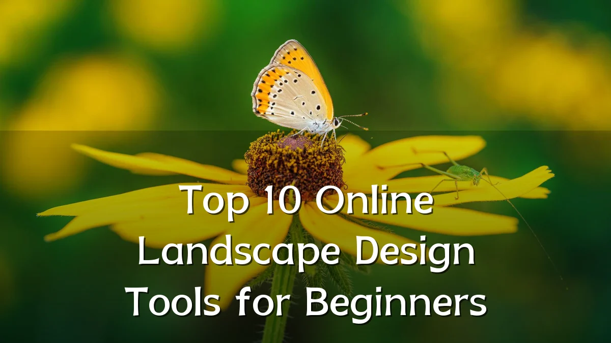 Top 10 Online Landscape Design Tools for Beginners