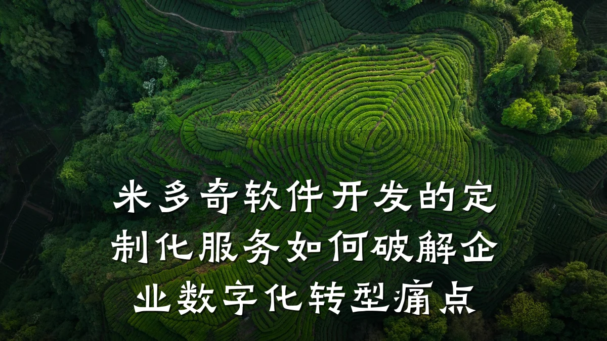 米多奇软件开发的定制化服务如何破解企业数字化转型痛点