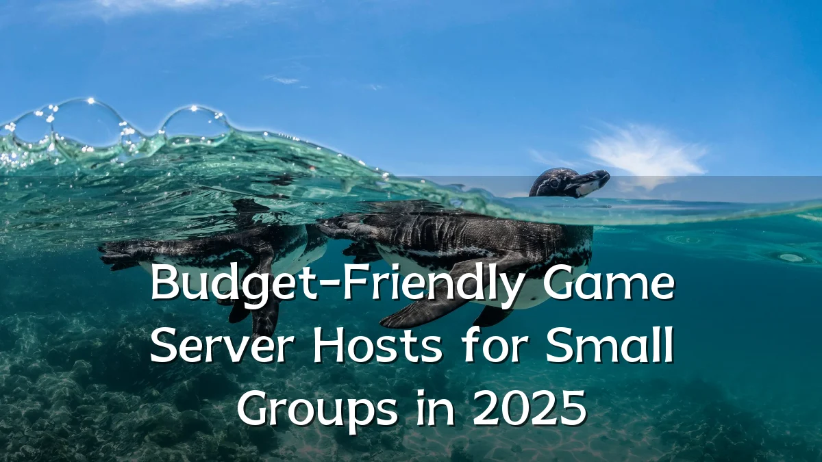 Budget-Friendly Game Server Hosts for Small Groups in 2025