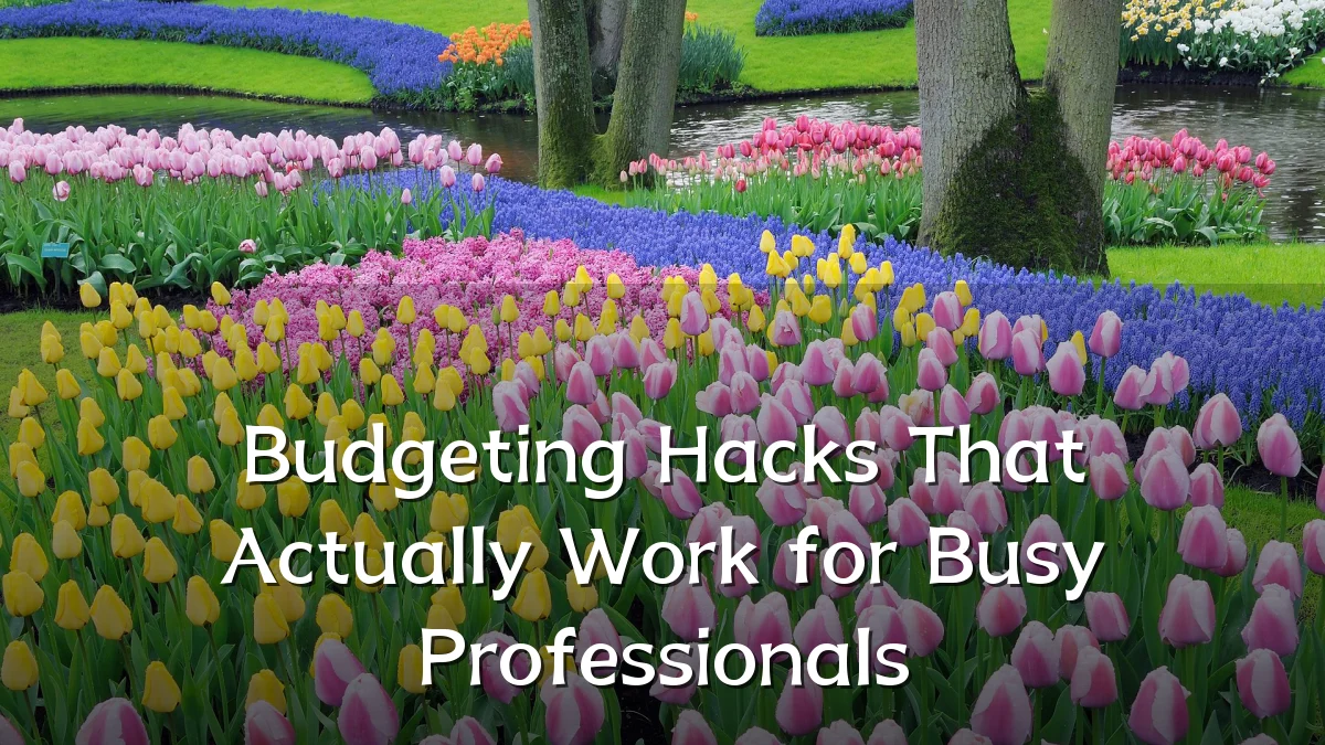 Budgeting Hacks That Actually Work for Busy Professionals