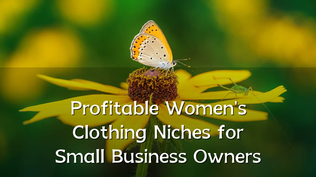 Profitable Women's Clothing Niches for Small Business Owners