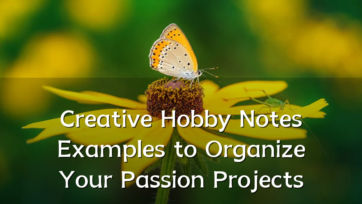 Creative Hobby Notes Examples to Organize Your Passion Projects