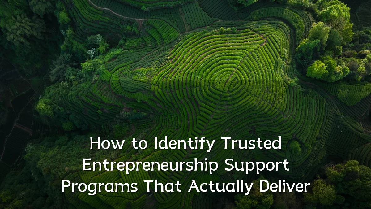 How to Identify Trusted Entrepreneurship Support Programs That Actually Deliver