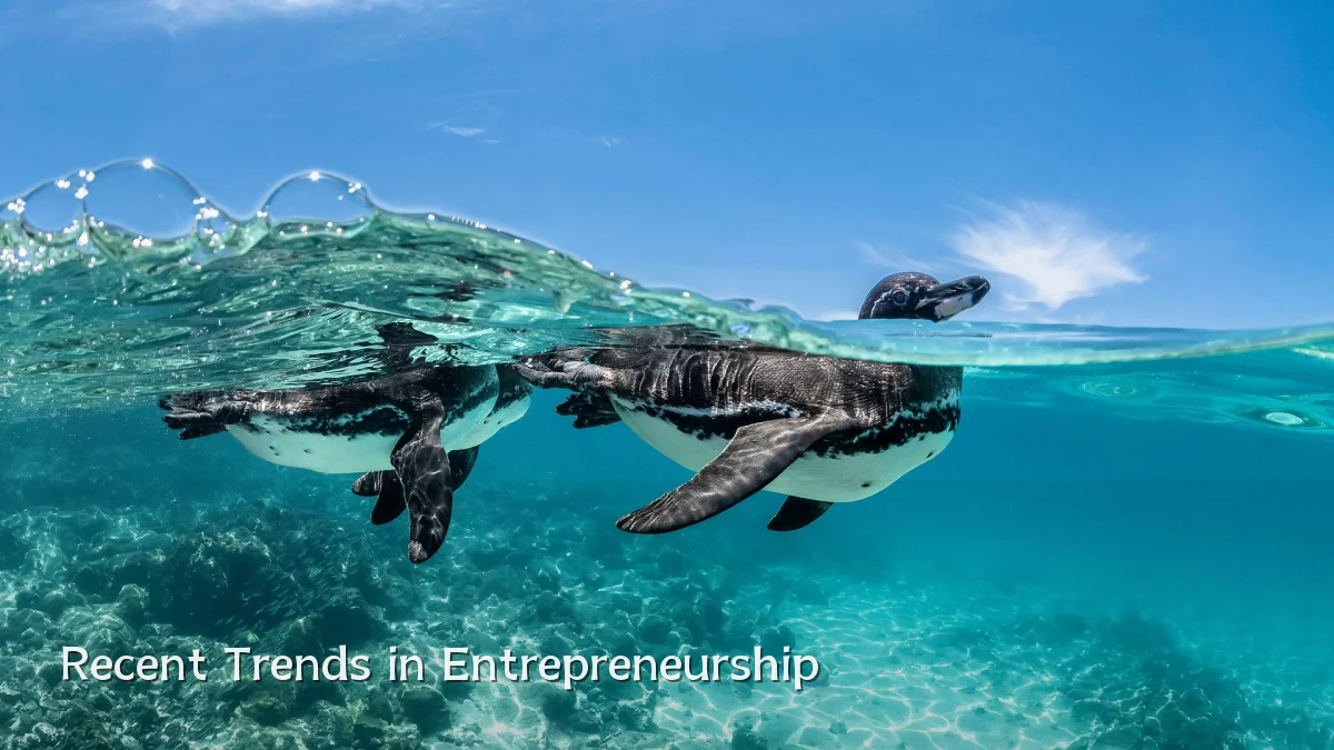 Recent Trends in Entrepreneurship