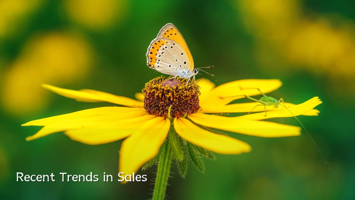 Recent Trends in Sales