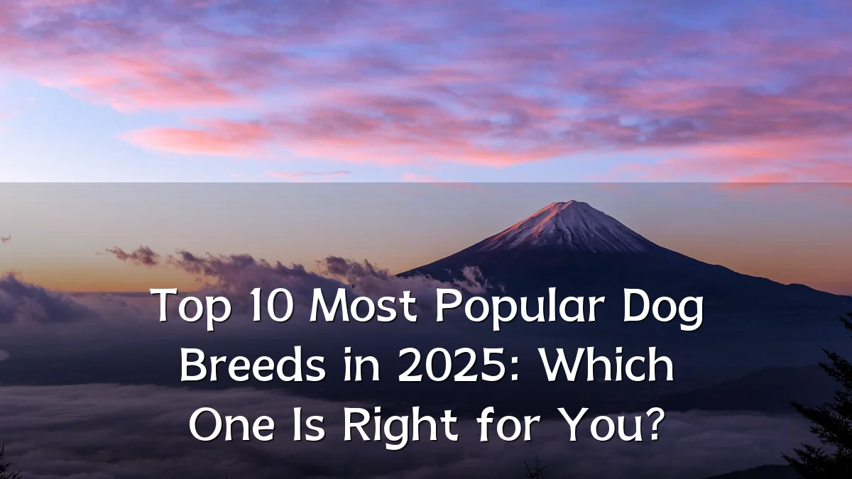 Top 10 Most Popular Dog Breeds in 2025: Which One Is Right for You?