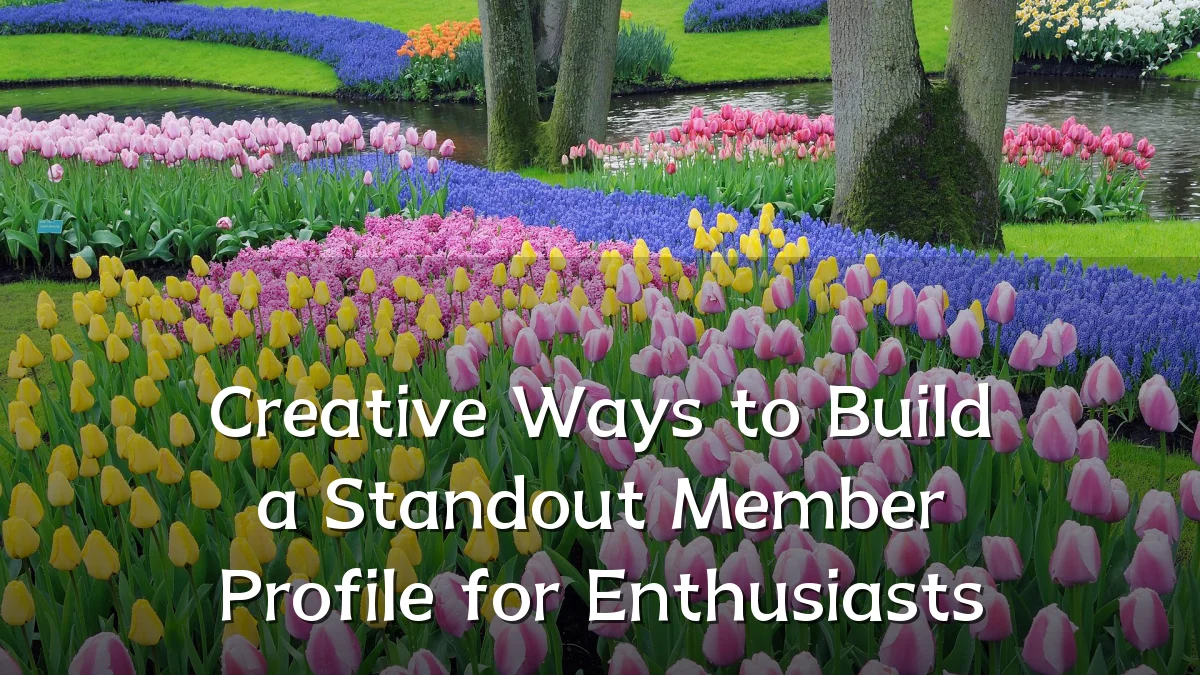 Creative Ways to Build a Standout Member Profile for Enthusiasts