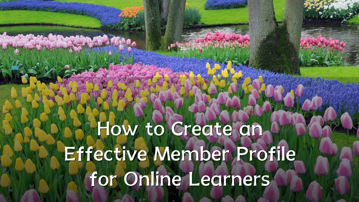 How to Create an Effective Member Profile for Online Learners