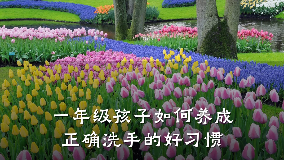 一年级孩子如何养成正确洗手的好习惯
