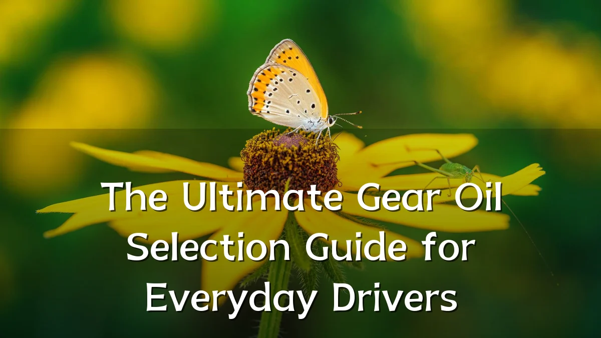 The Ultimate Gear Oil Selection Guide for Everyday Drivers