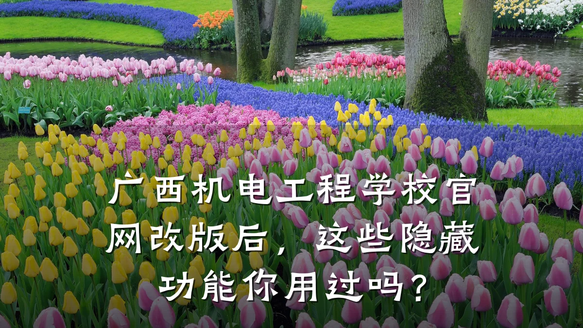 广西机电工程学校官网改版后,这些隐藏功能你用过吗?