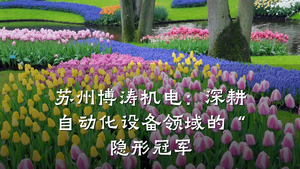 苏州博涛机电:深耕自动化设备领域的“隐形冠军
